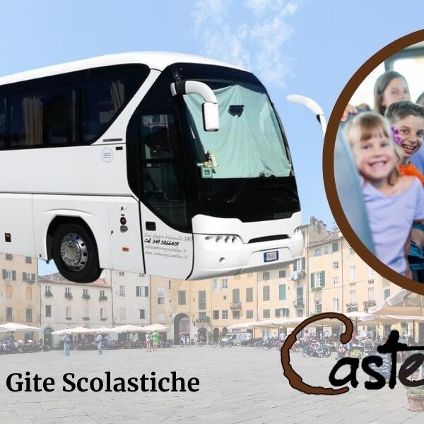 Noleggio pullman con autista per gite scolastiche a Verona con Castellani