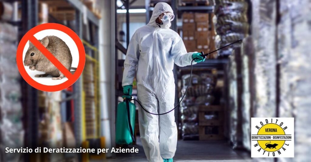 Servizio di derattizzazione per aziende a Verona da Roditor National