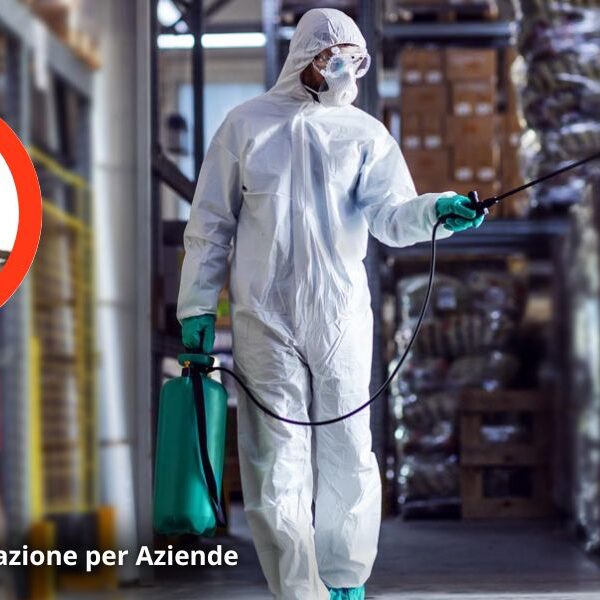 Servizio di derattizzazione per aziende a Verona da Roditor National